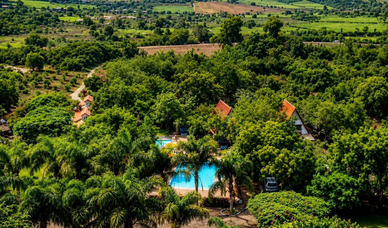 Jardines y palmeras