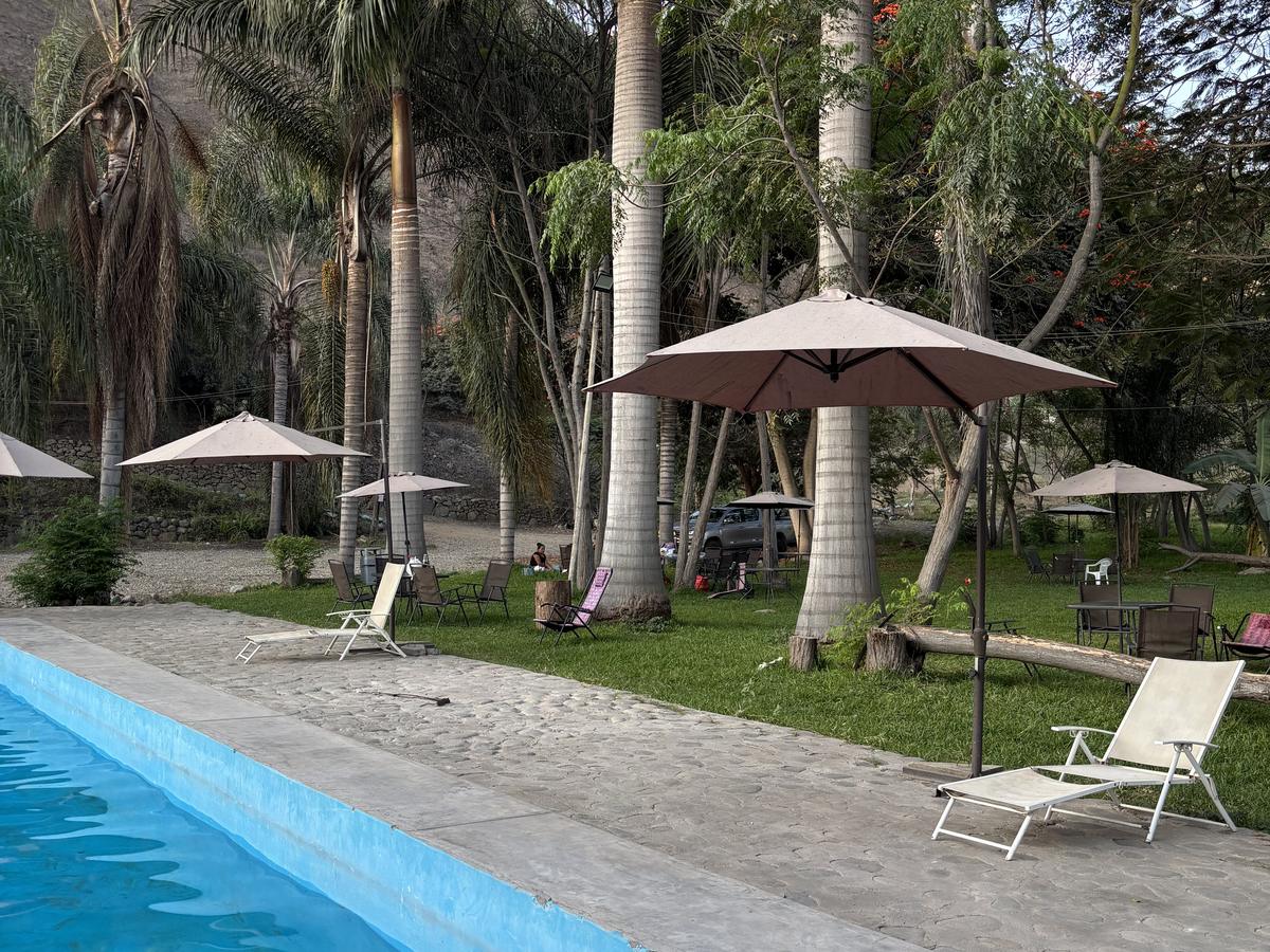 Piscina con sombrillas y camastros entre palmeras