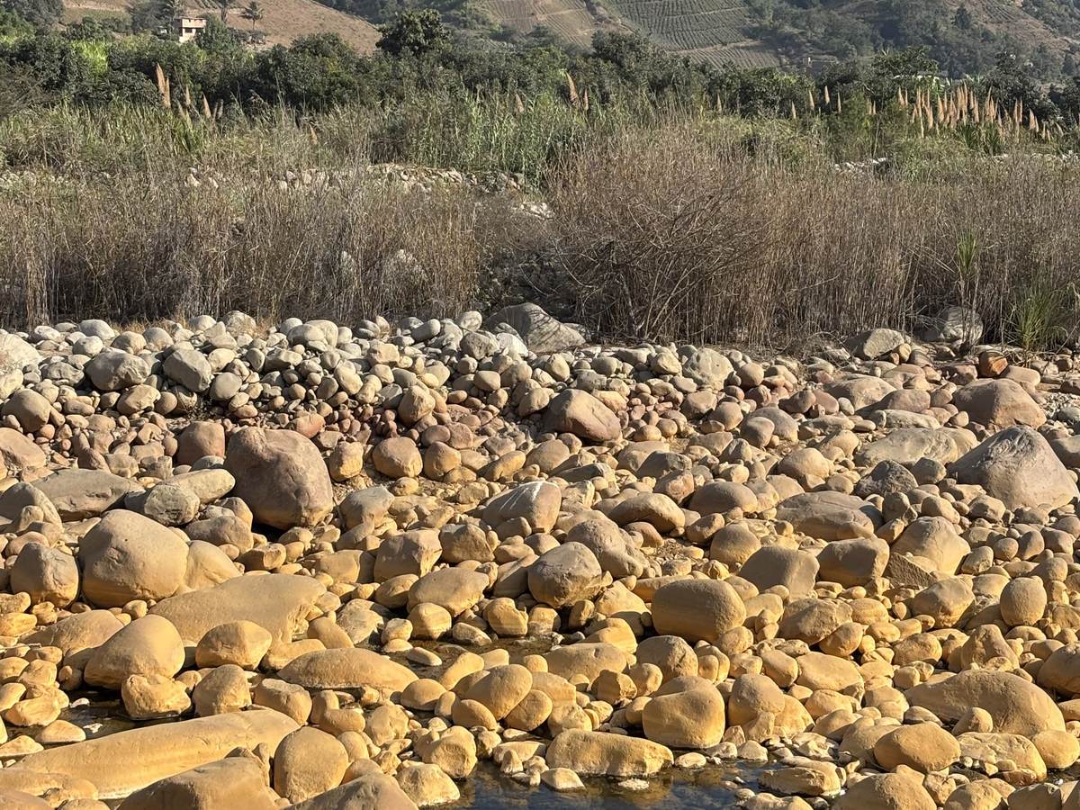 Cauce del río con piedras